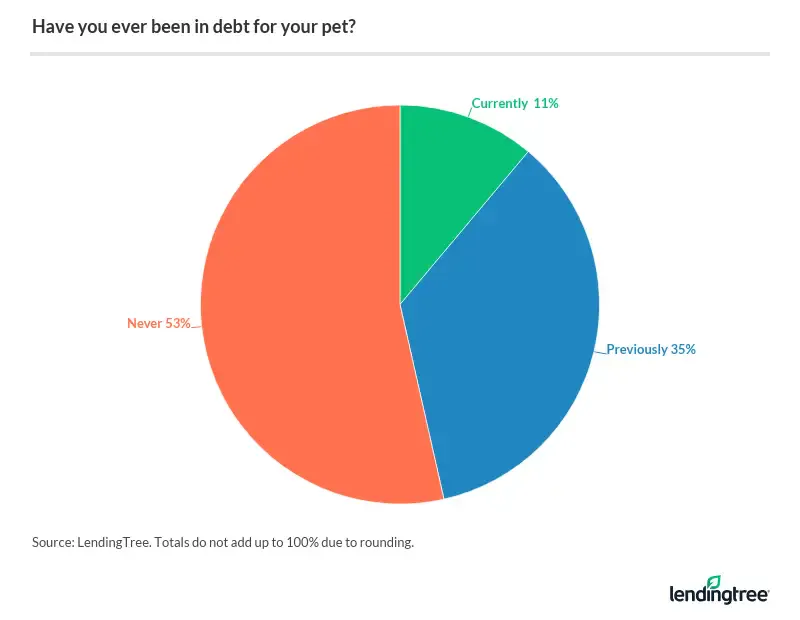53% of pet owners say they've never gone into debt for their pet.
