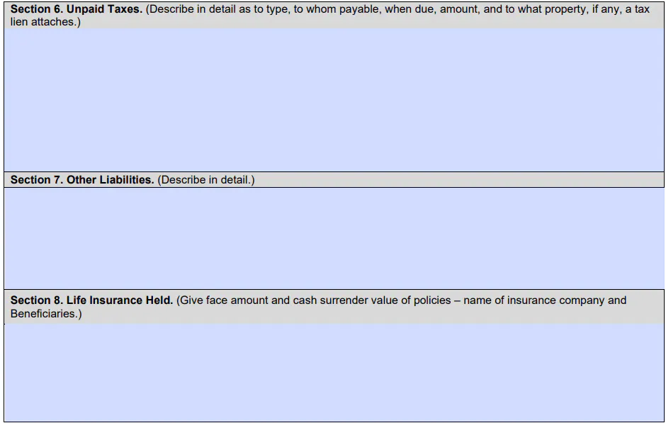 SBA Form 413 section 8
